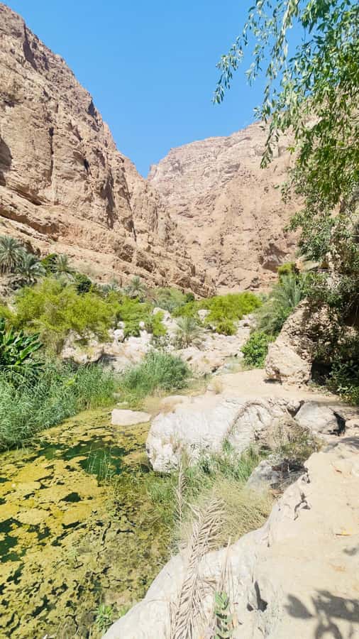 Wadi Shab Parking Meet the Local Guide for Self drivers - The first pool stop and the start of the swim