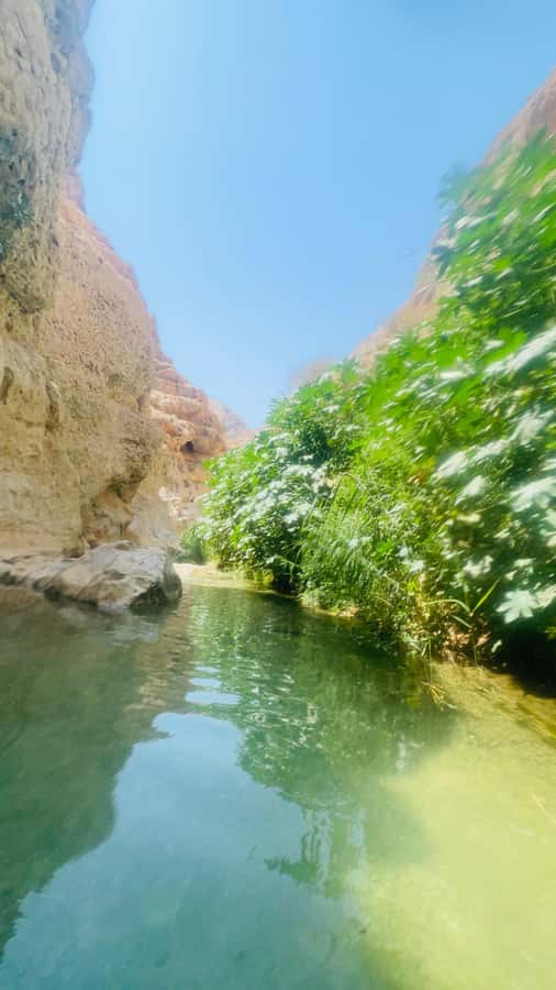 Wadi Shab Parking Meet the Local Guide for Self drivers - The return hike and final boat crossing