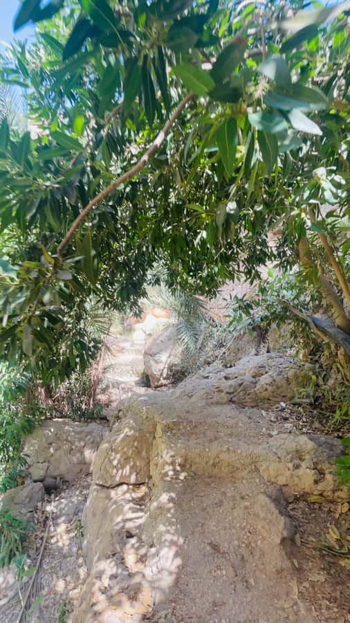 Wadi Shab Parking Meet the Local Guide for Self drivers - Packing for rocks, water, and heat