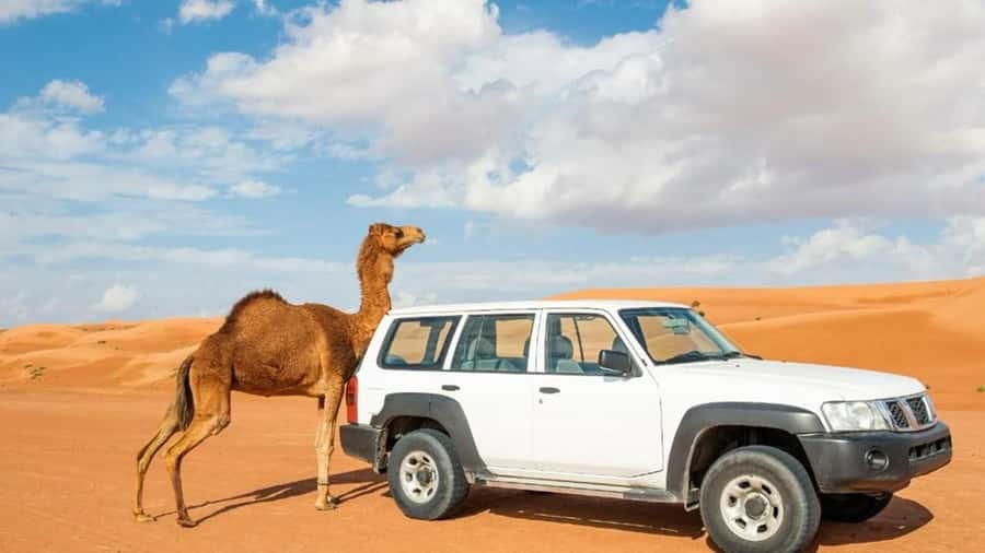 Wahiba Sand and Wadi Bani Khalid Guided Group Tour - The big contrast: water, palms, and sand in one day