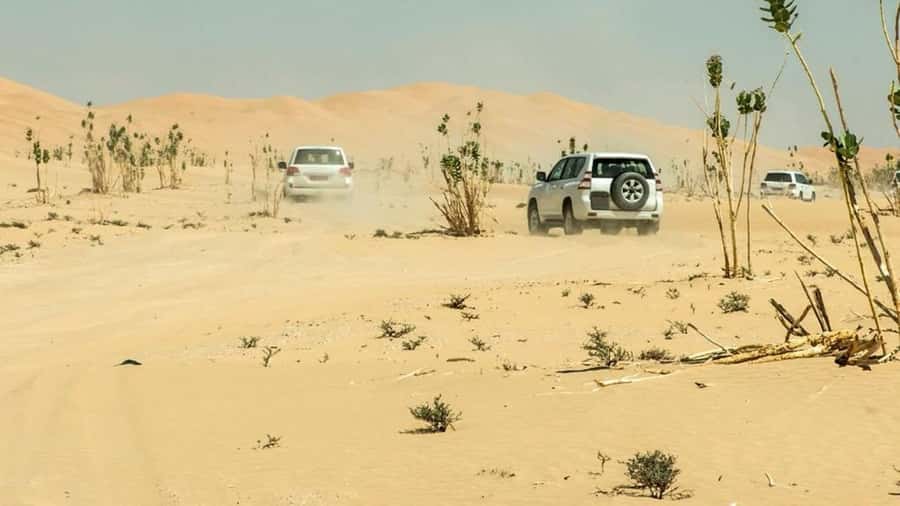 Wahiba Sand and Wadi Bani Khalid Guided Group Tour - Is $220 a fair price?