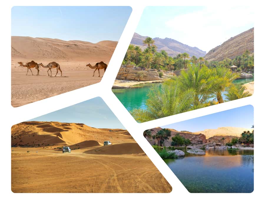 Wahiba Sands and Wadi Bani Khalid Full-Day Tour from Muscat - Key points at a glance