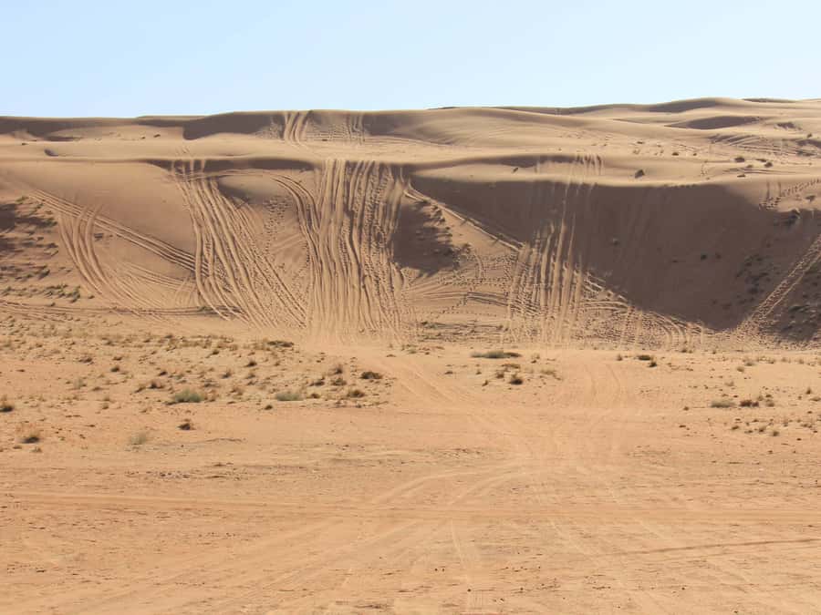 Wahiba Sands and Wadi Bani Khalid Full-Day Tour from Muscat - The long return to Muscat