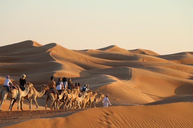 Wahiba Sands Safari with Wadi swimming and Camelride - Why the desert and oasis make a good pair