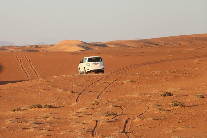 Wahiba Sands Safari with Wadi swimming and Camelride - Wadi Bani Khalid and the chance to swim