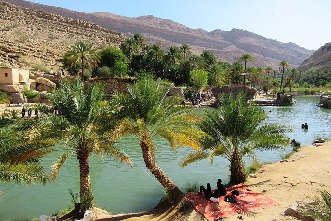 Wahiba Sands Safari with Wadi swimming and Camelride - The 7:00 am start from Muscat