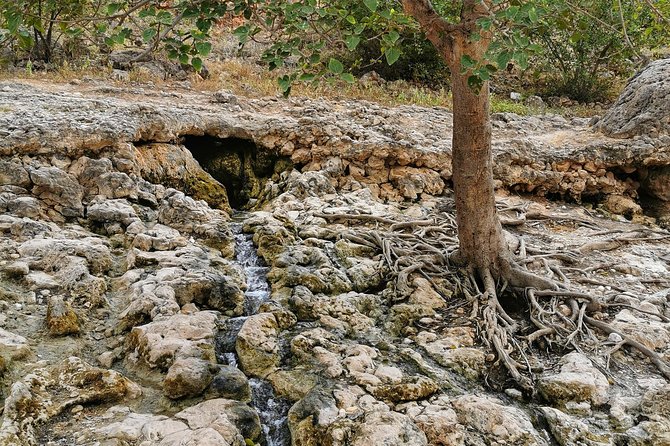 West Salalah, Al Mughsail Beach, White Beach, Frankincense Tree (Half day Tour) - Afoul Beach and a quieter stretch of coast