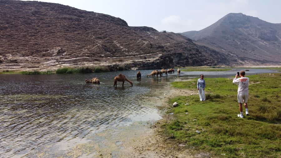 West Salalah Highlights: Coastal Wonders & Scenic Views - Why West Salalah works so well in one day