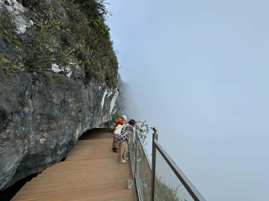 West Salalah Highlights: Coastal Wonders & Scenic Views - Who will get the most from this tour