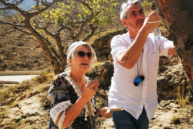 West Salalah Tour by VisitSalalah - Who should book this tour?