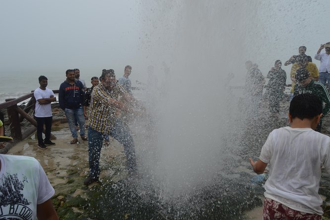 West Salalah Tour - Caribbean of Orient - Fazayah Beach with City - Seeing a frankincense tree in the Dhofar countryside
