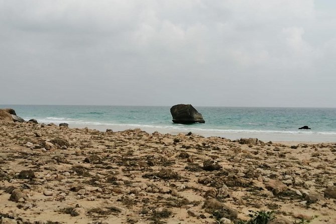 Where Sea Meets Rock: A Scenic Journey to West Salalah’s Shores - Marneef Cave and blowholes: the coast puts on a show