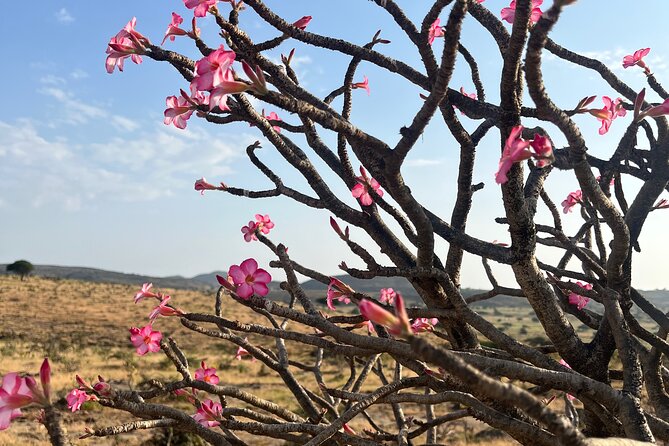 Your Salalah Tour-Your German speaking tour provider/mountain tour - Why this Salalah mountain tour is different