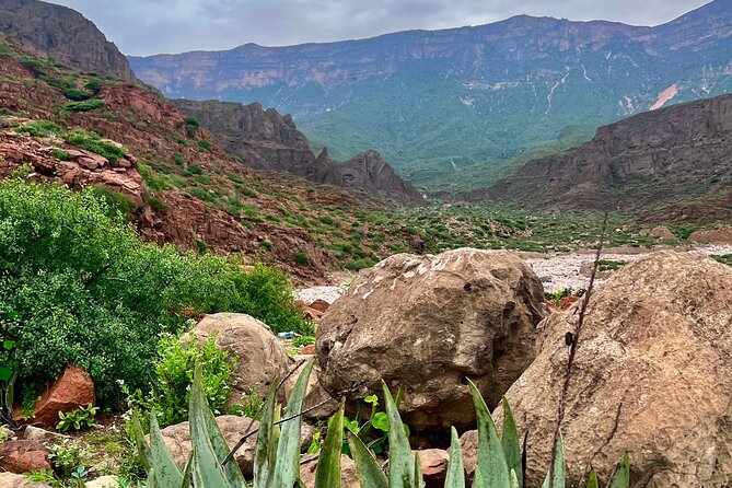 Your Salalah Tour-Your German speaking tour provider/mountain tour - Taqah: culture beside a high coastal view