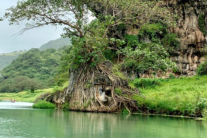 Your Salalah Tour-Your German speaking tour provider/mountain tour - Qeenak and the baobab trees