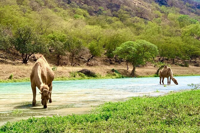 Your Salalah Tour-Your German speaking tour provider/mountain tour - German guiding and the small-group advantage